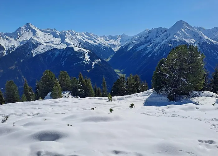 Lisa Апартаменты